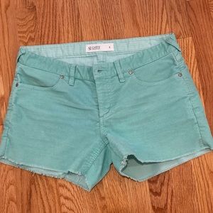 Carve Design Oahu Shorts aka Dogtown Shorts 8